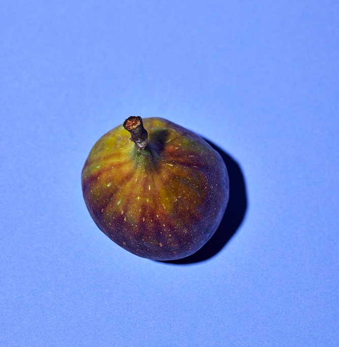Eine einzelne Feige mit grün-violetter Oberfläche liegt auf einem flachen, hellblauen Hintergrund. Die Feige wirft einen subtilen Schatten auf die Oberfläche und ihr Stiel ist oben sichtbar. Die Expertise eines Foodstylisten zeigt sich in der Beleuchtung, die die Textur und Farben der Feige hervorhebt.