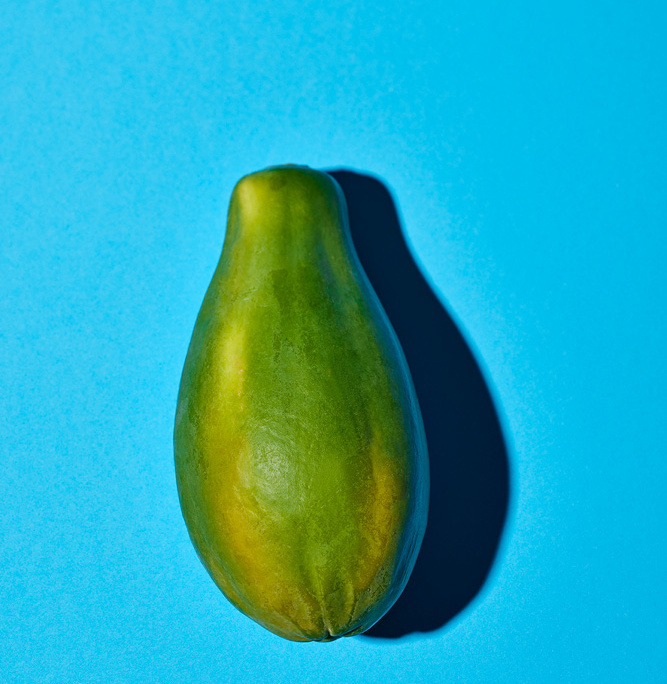 Eine einzelne grüne Papaya liegt auf einem hellblauen Hintergrund und wirft einen Schatten nach rechts. Die Papaya ist ungeschnitten und zeigt ihre ausgeprägte längliche Form und glatte Schale mit einem leichten Farbverlauf in Grüntönen. Dieses Bild veranschaulicht die Essenz der Food-Fotografie mit seinen lebendigen Farben und seiner klaren Komposition.