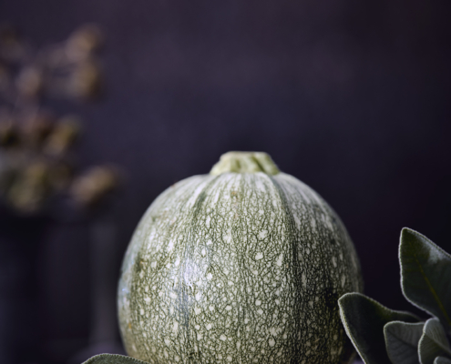 Frische Zucchini Runde Zucchini mit Salbei