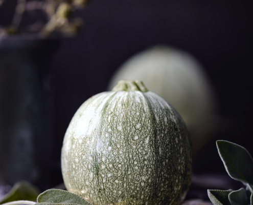 Runde Zucchini Runde grüne Zucchini auf einem Holzbrett