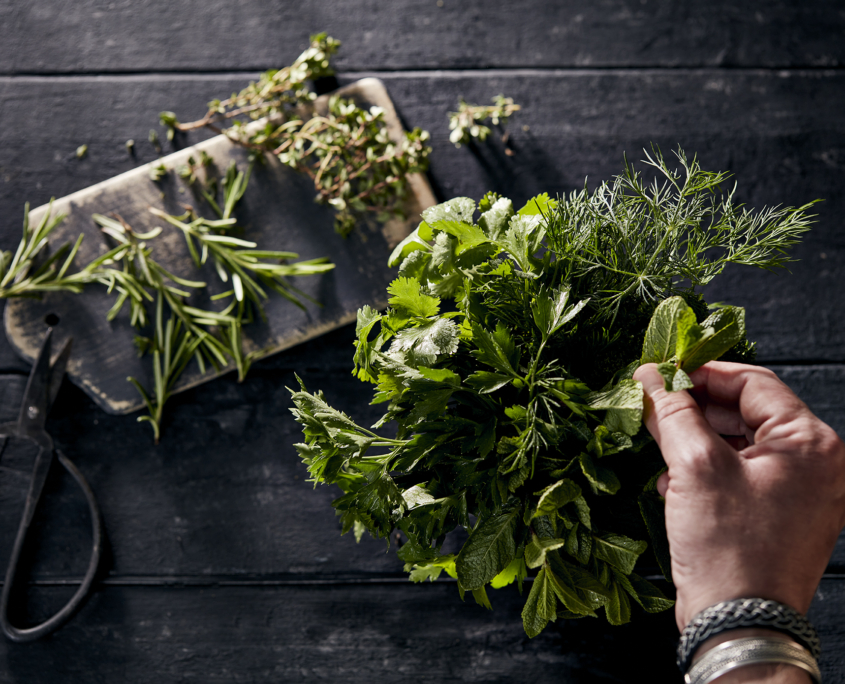 przibylla-fotograf-levante-frische-kraeuter-mood Eine Nahaufnahme einer Hand, die frische Kräuter, darunter Dill, Minze und Petersilie, aus einem Bündel auf einer dunklen Holzoberfläche pflückt. Ein Schneidebrett mit Kräutern und eine Schere liegen in der Nähe. Die Umgebung wirkt rustikal und die dramatische Beleuchtung verstärkt die Ästhetik der Foodfotografie.